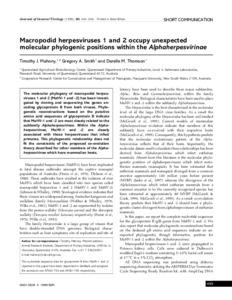 Macropodid herpesviruses 1 and 2 occupy unexpected molecular phylogenic
